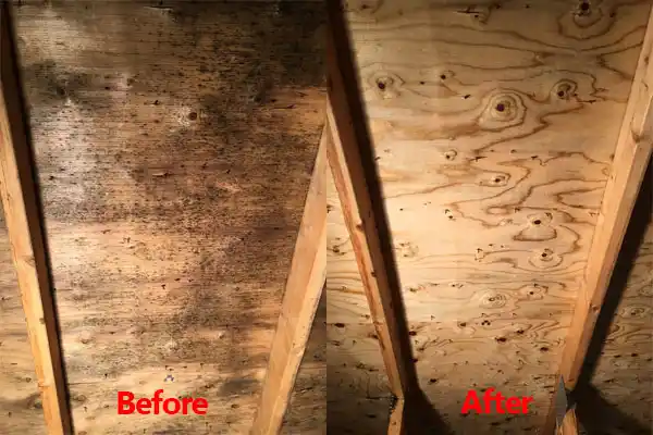 water damage restoration service White Oak